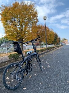 岩瀬駅前の黄葉