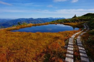 会津駒ヶ岳の駒の小屋近くの池塘の画像