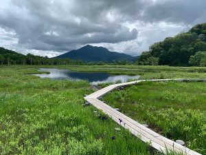 尾瀬ヶ原から燧ヶ岳を撮影