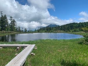 富士見峠の池塘と燧ヶ岳